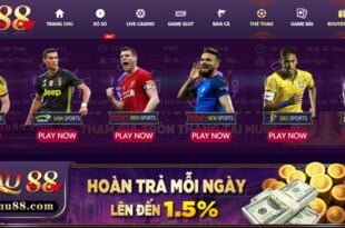 Mu88 hoàn trả 1.5% mỗi ngày