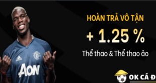 mu9-hoan-tra