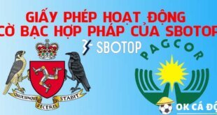 Giấy phép hoạt động Cờ Bạc