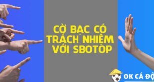 co-bac-co-trach-nhiem