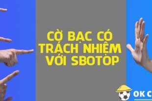 co-bac-co-trach-nhiem