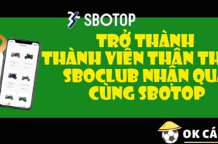 Trở thành thành viên thân thiết SBOClub nhận quà cùng SBOTOP