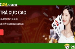 B29.com Hoan Tra cuc cao sieu hap dan cho thanh vien