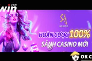 Vwin hoàn cược casino