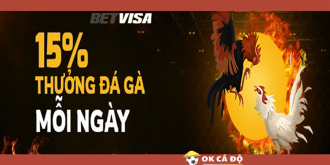 Trang BetVisa Thuong 15 Da Ga moi ngay