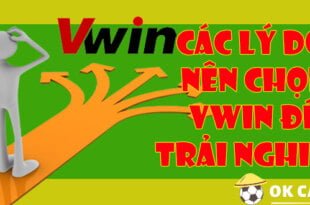 Các lý do nên chọn VWIN để trải nghiệm