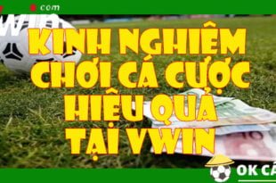 Kinh nghiệm chơi cá cược hiệu quả tại VWIN