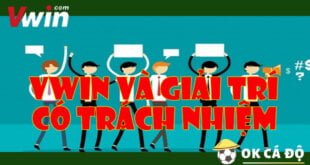 VWIN va giai tri co trach nhiem