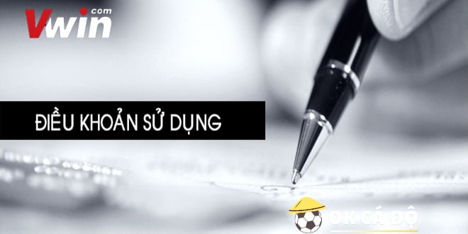 dieu khoan và dieu kien vwin 1