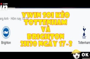 VWIN Soi Kèo Tottenham và Brighton 2h30 ngày 17-3