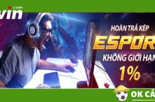 VWIN Hoàn Trả Esport kép lên đến 1%