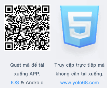 QR code iOS