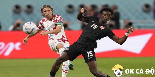 Soi kèo Croatia vs Bỉ WC2022 3