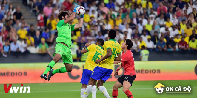 Brazil vs Hàn Quốc