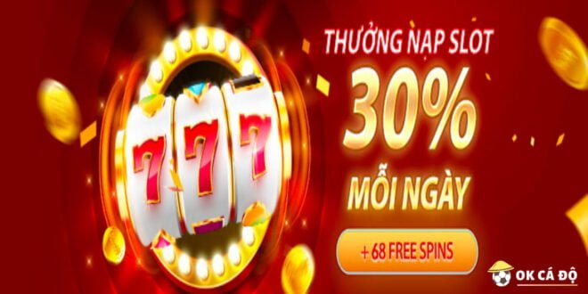 Vwin hoàn trả 30% 1